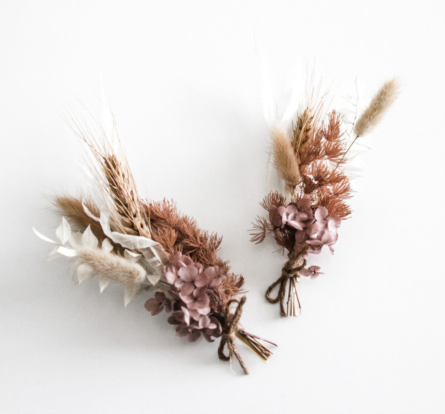 Dried Blooms